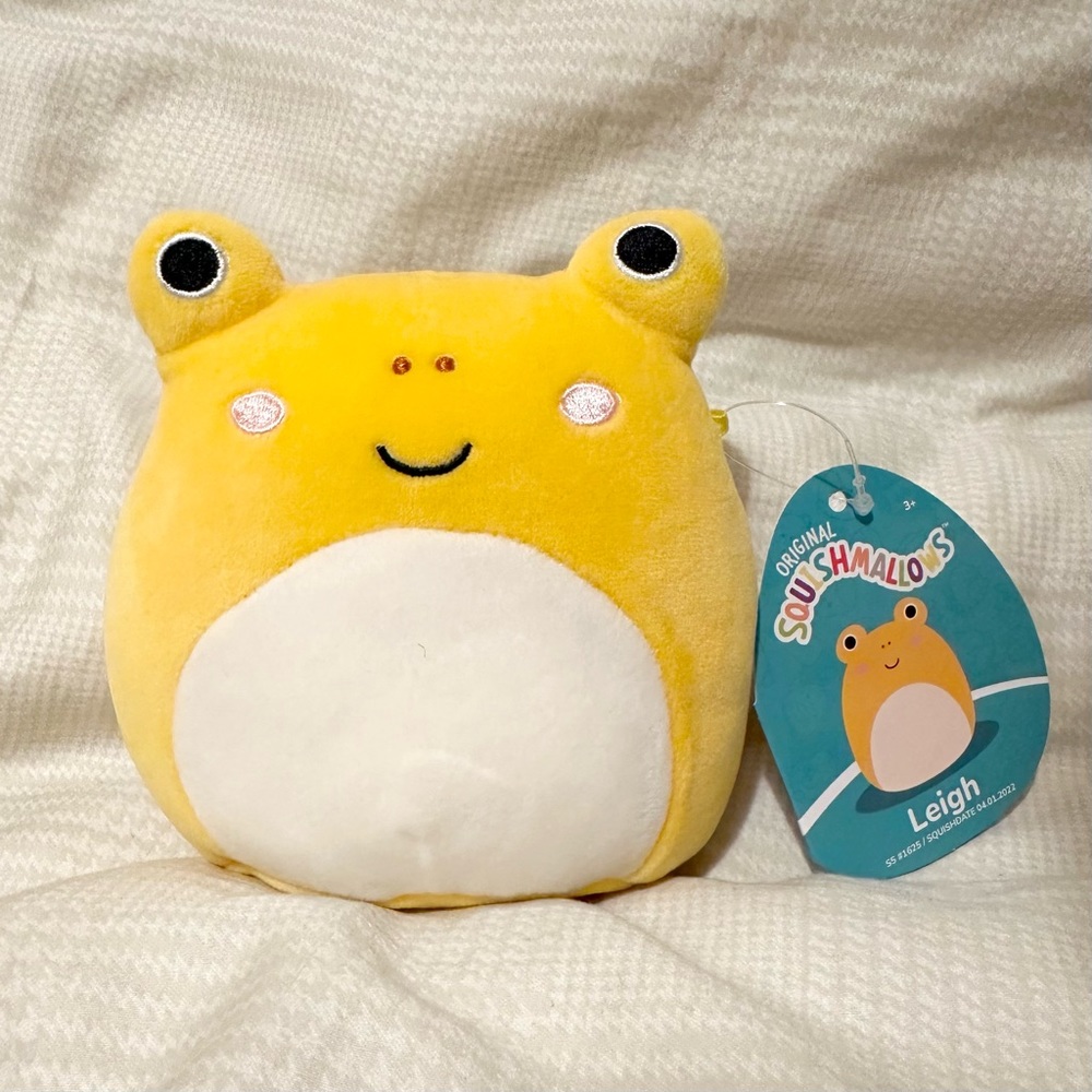 BNWT 5” Leigh the Toad Squishmallow 🧀